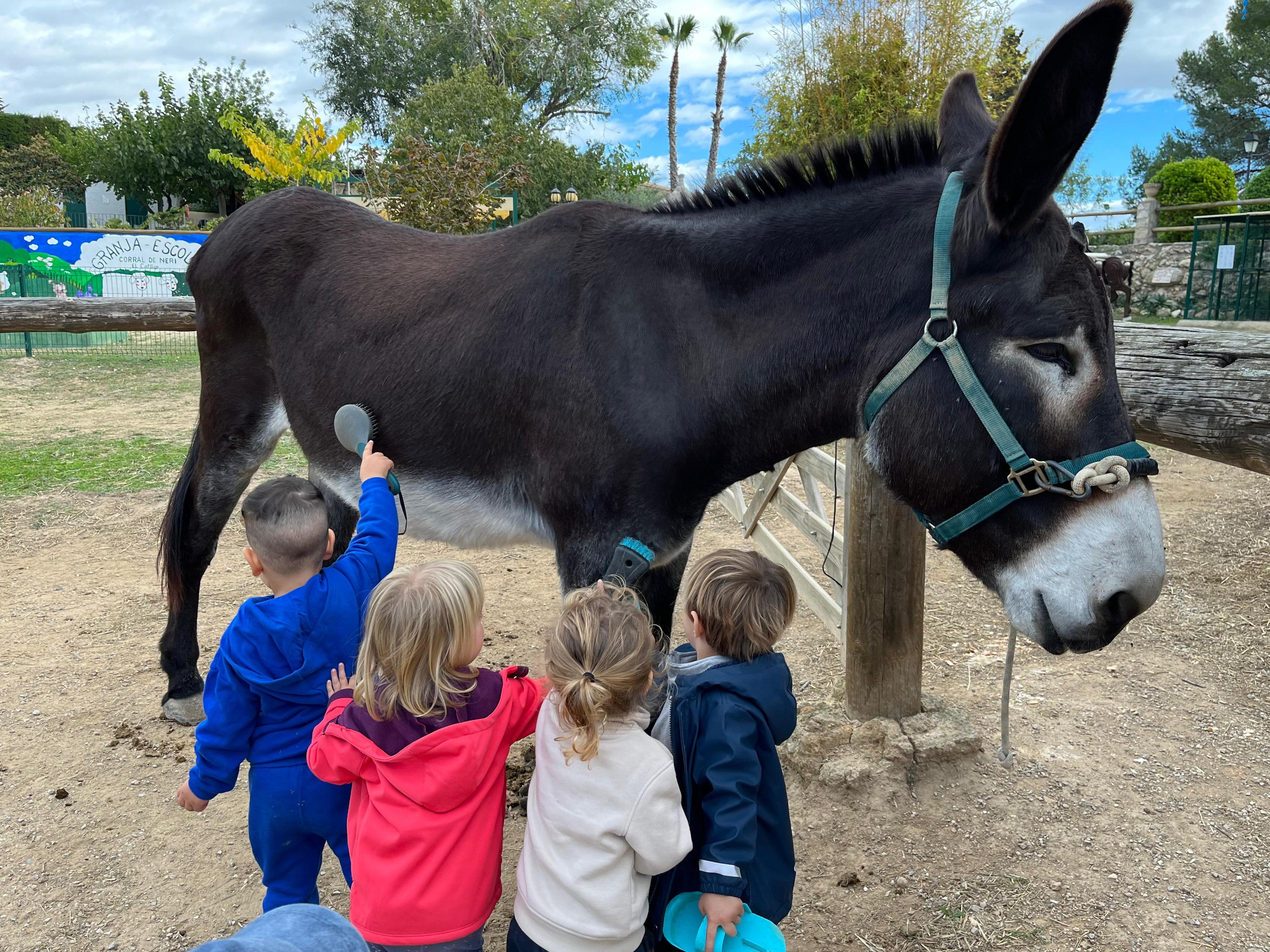 Infants cuidant un ase a la granja