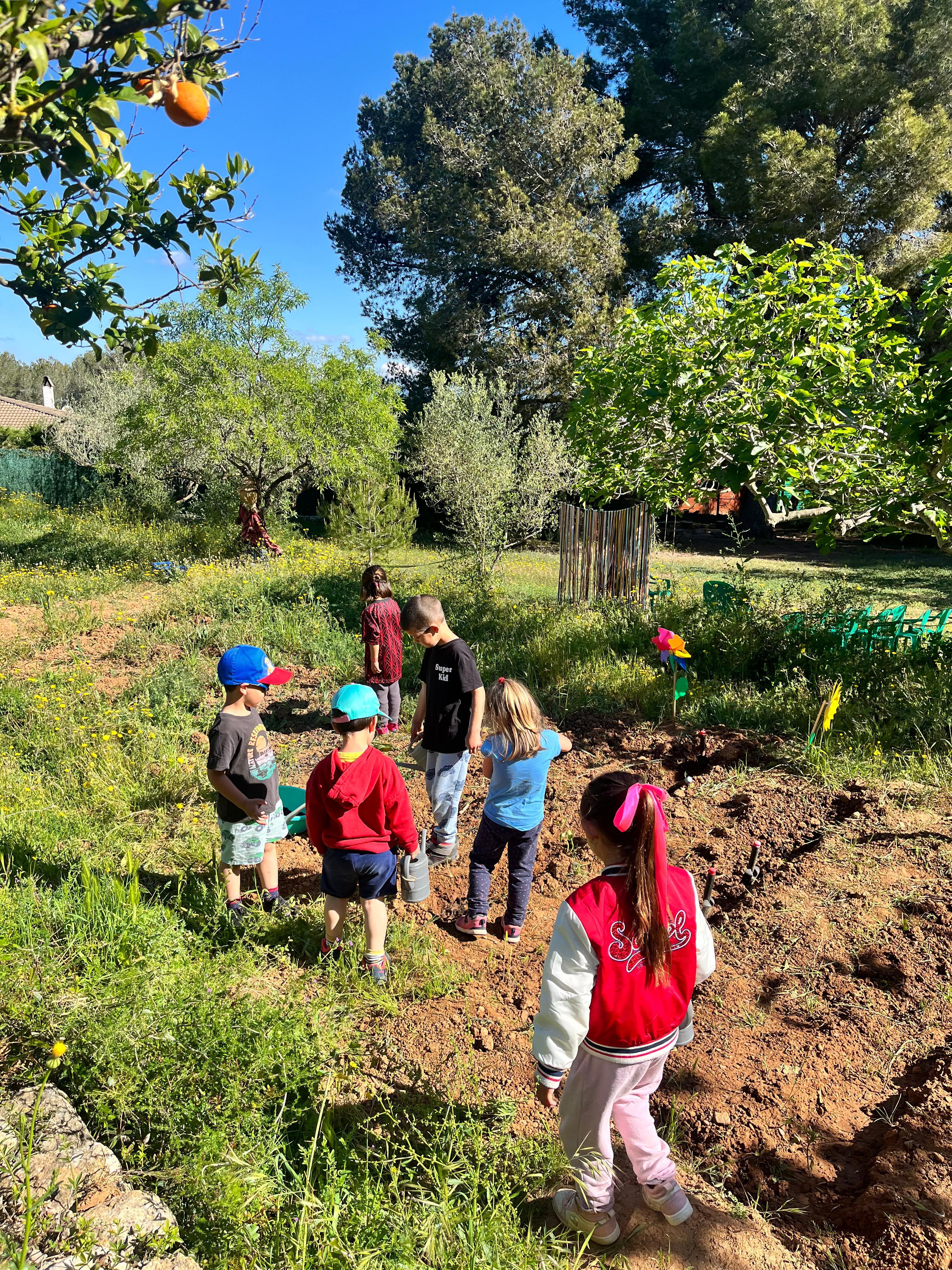 Explorant l'hort i el jardí