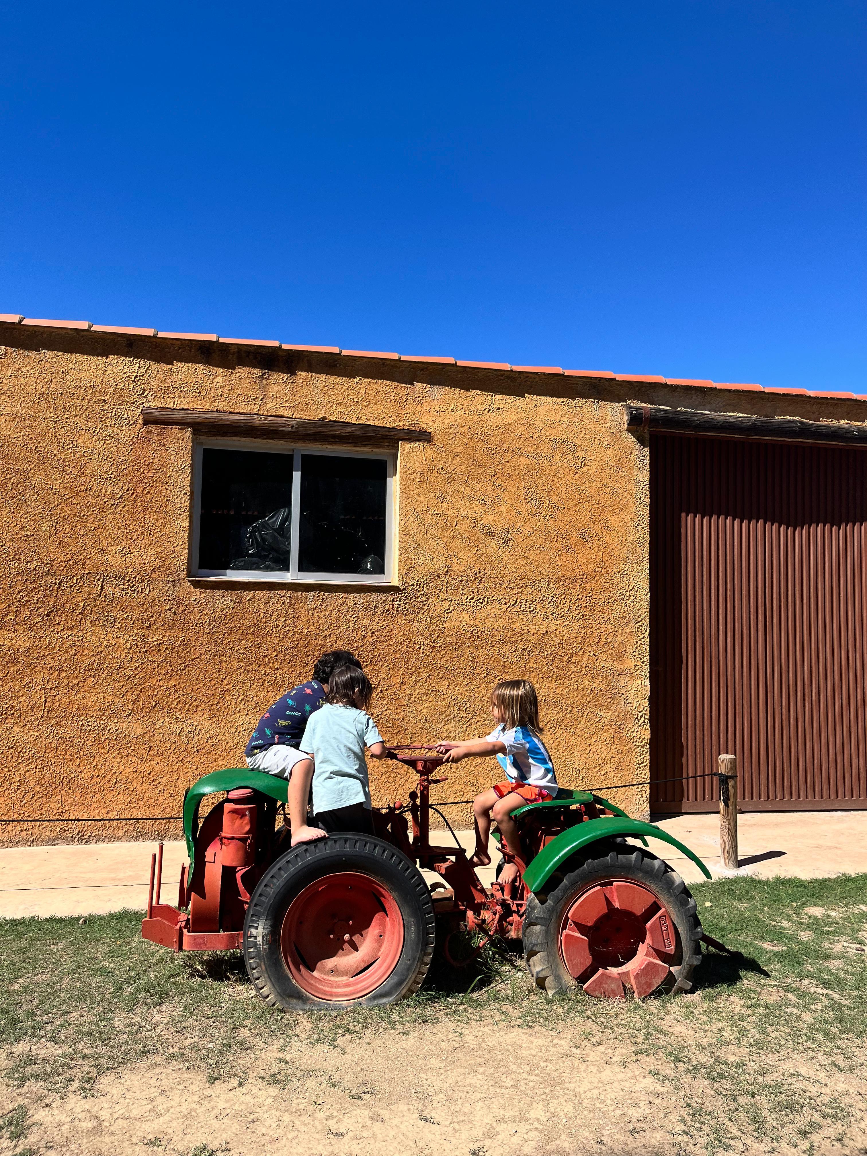 Moment de joc al bosc