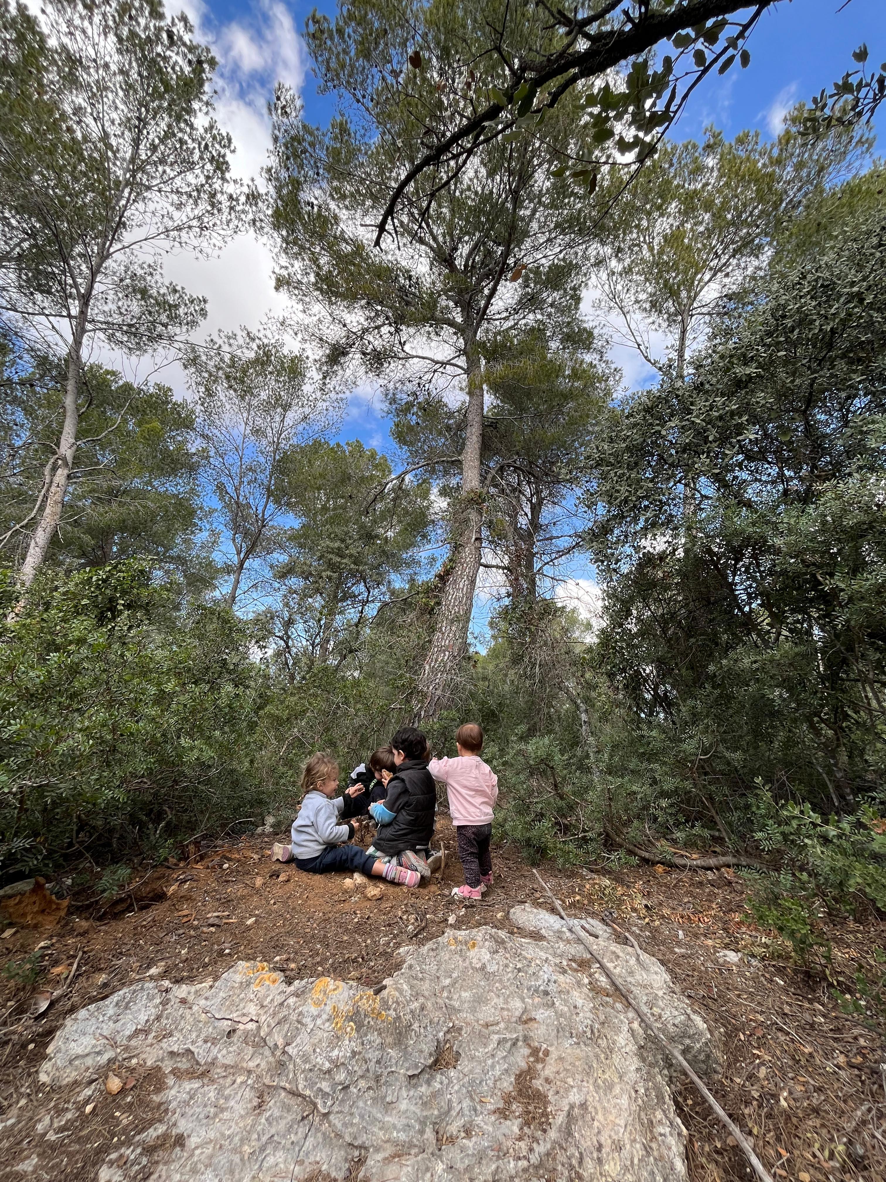 Infants sobre una roca al bosc