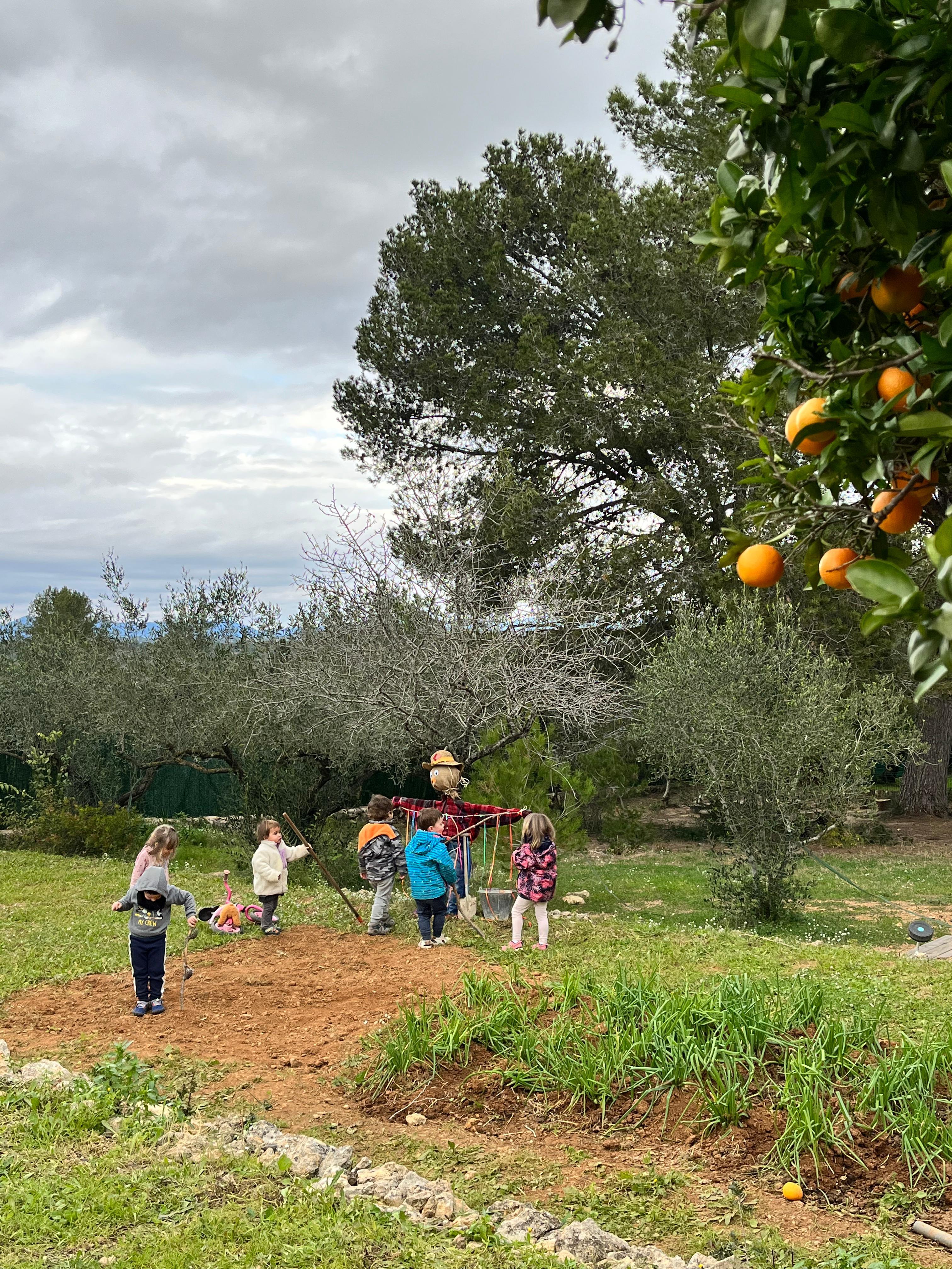 Treballant a l'hort amb tarongers