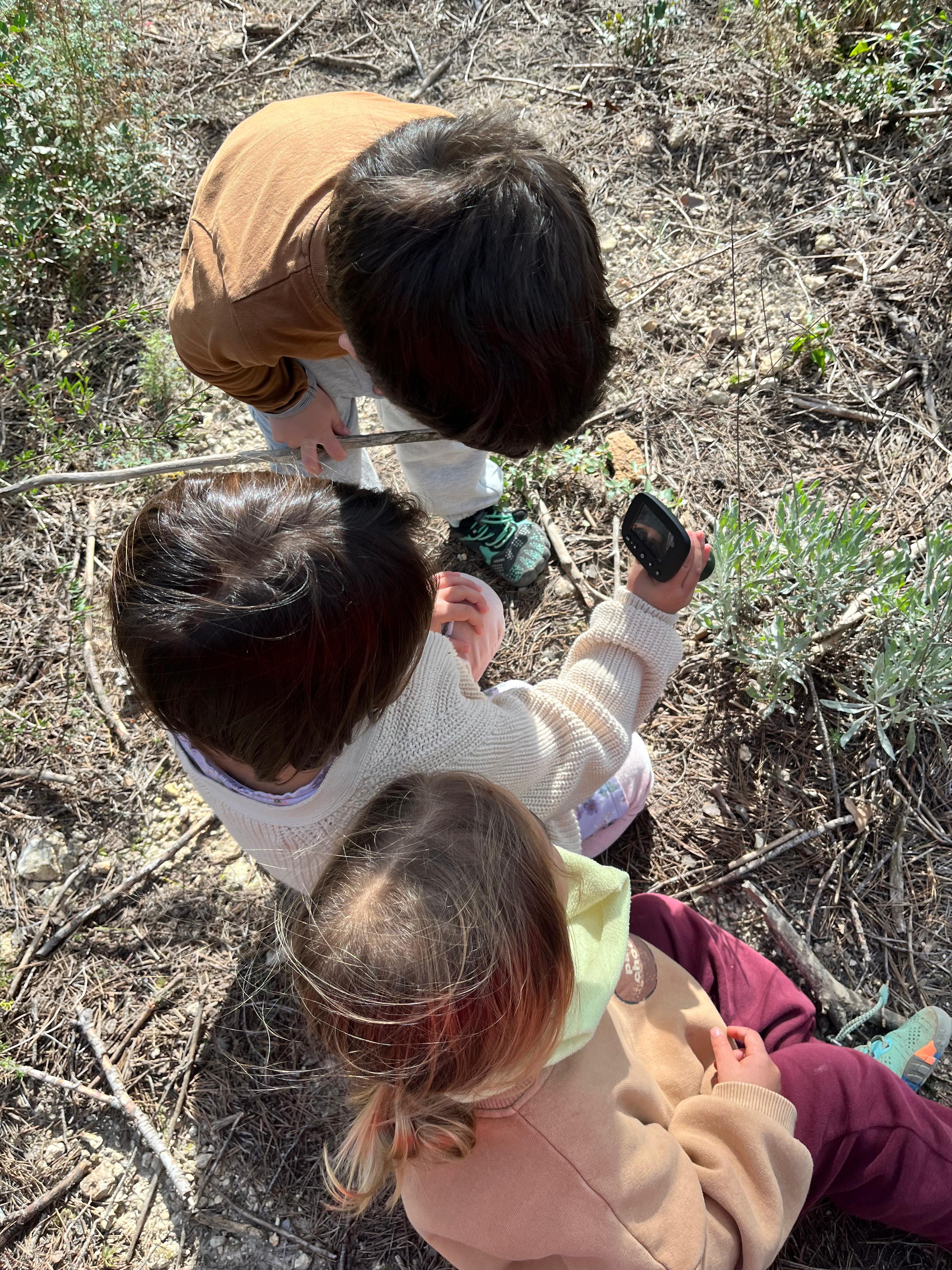 Joc lliure a la granja