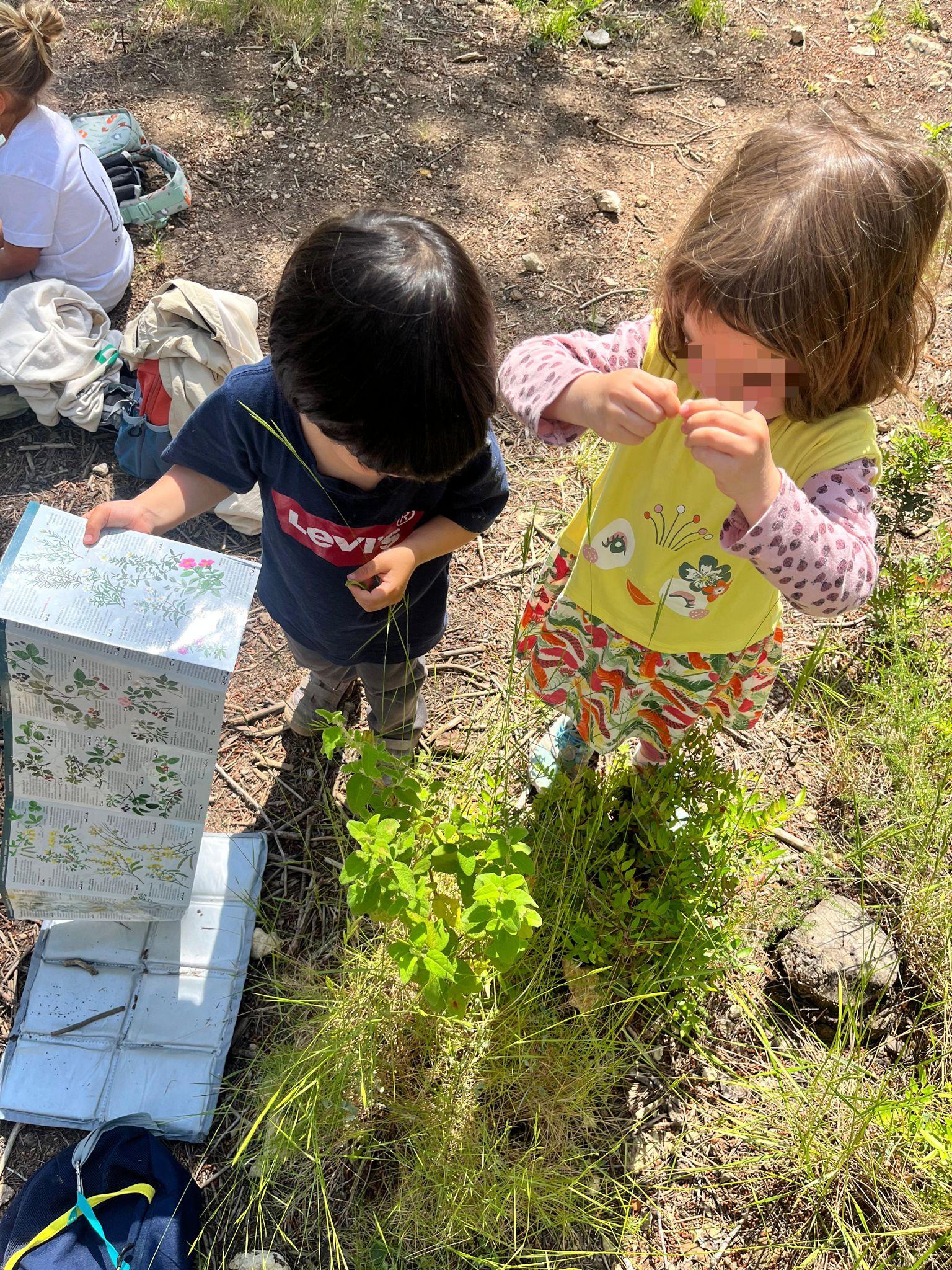 Exploració sensorial