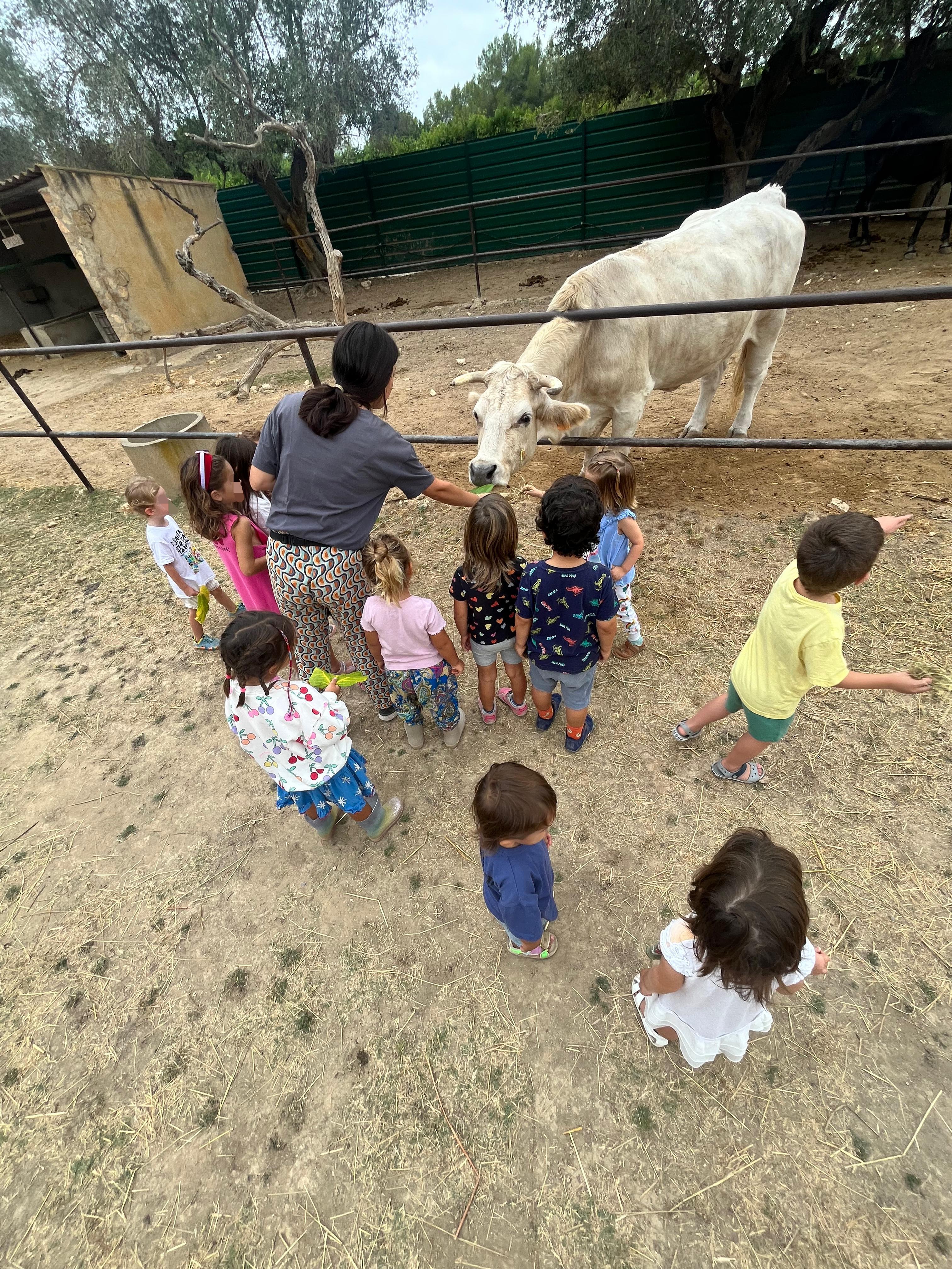 Entorn natural mediterrani