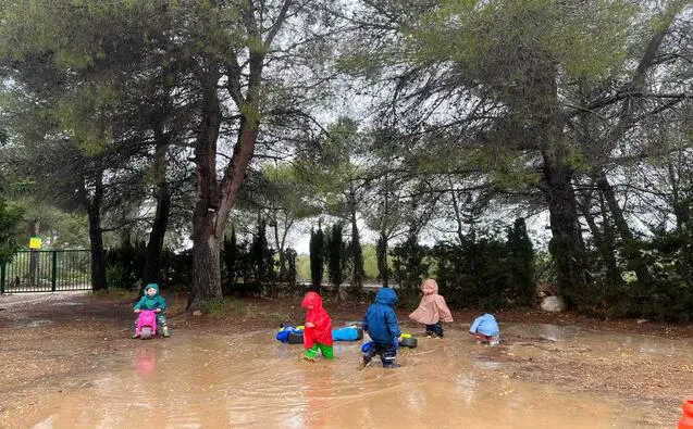 Sotabosc